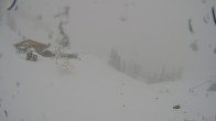 Archived image Webcam Grossarl: View Loosbuehelalm 04:00