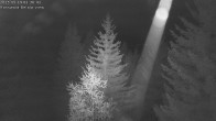Archiv Foto Webcam Rosswald - Chalet Bergfriede 01:00