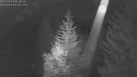 Archiv Foto Webcam Rosswald - Chalet Bergfriede 03:00