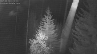 Archived image Webcam Rosswald - Bärgfriedu 23:00