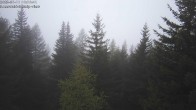 Archived image Webcam Rosswald - Bärgfriedu 05:00