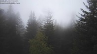 Archived image Webcam Rosswald - Bärgfriedu 06:00