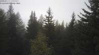 Archived image Webcam Rosswald - Bärgfriedu 09:00
