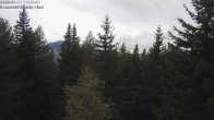 Archived image Webcam Rosswald - Bärgfriedu 11:00