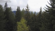 Archived image Webcam Rosswald - Bärgfriedu 13:00