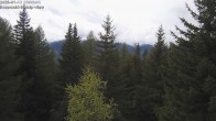 Archived image Webcam Rosswald - Bärgfriedu 15:00