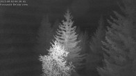 Archiv Foto Webcam Rosswald - Chalet Bergfriede 03:00