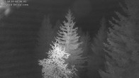 Archiv Foto Webcam Rosswald - Chalet Bergfriede 23:00