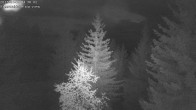 Archiv Foto Webcam Rosswald - Chalet Bergfriede 03:00