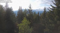 Archived image Webcam Rosswald - Bärgfriedu 17:00
