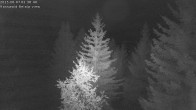 Archived image Webcam Rosswald - Bärgfriedu 01:00