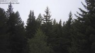 Archived image Webcam Rosswald - Bärgfriedu 05:00