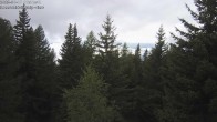 Archived image Webcam Rosswald - Bärgfriedu 06:00