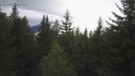 Archived image Webcam Rosswald - Bärgfriedu 07:00