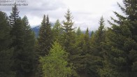 Archiv Foto Webcam Rosswald - Chalet Bergfriede 11:00