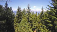 Archiv Foto Webcam Rosswald - Chalet Bergfriede 11:00