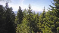 Archiv Foto Webcam Rosswald - Chalet Bergfriede 13:00