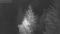 Archiv Foto Webcam Rosswald - Chalet Bergfriede 01:00