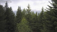 Archiv Foto Webcam Rosswald - Chalet Bergfriede 11:00