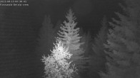 Archiv Foto Webcam Rosswald - Chalet Bergfriede 00:00