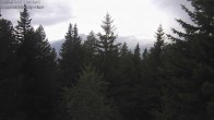 Archived image Webcam Rosswald - Bärgfriedu 15:00