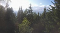 Archived image Webcam Rosswald - Bärgfriedu 17:00
