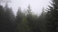 Archiv Foto Webcam Rosswald - Chalet Bergfriede 05:00