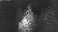 Archiv Foto Webcam Rosswald - Chalet Bergfriede 01:00