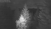 Archiv Foto Webcam Rosswald - Chalet Bergfriede 03:00
