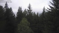 Archiv Foto Webcam Rosswald - Chalet Bergfriede 17:00