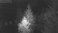 Archiv Foto Webcam Rosswald - Chalet Bergfriede 23:00