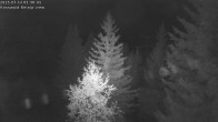 Archiv Foto Webcam Rosswald - Chalet Bergfriede 01:00