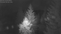 Archiv Foto Webcam Rosswald - Chalet Bergfriede 03:00