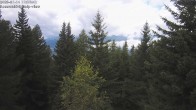Archiv Foto Webcam Rosswald - Chalet Bergfriede 11:00