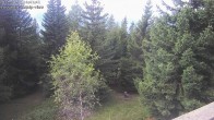 Archiv Foto Webcam Rosswald - Chalet Bergfriede 13:00
