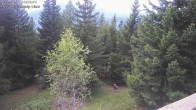 Archiv Foto Webcam Rosswald - Chalet Bergfriede 17:00
