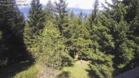 Archiv Foto Webcam Rosswald - Chalet Bergfriede 11:00