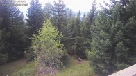 Archiv Foto Webcam Rosswald - Chalet Bergfriede 15:00