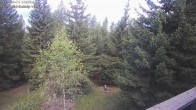 Archived image Webcam Rosswald - Bärgfriedu 09:00