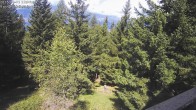 Archived image Webcam Rosswald - Bärgfriedu 11:00