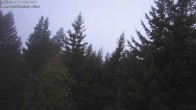 Archiv Foto Webcam Rosswald - Chalet Bergfriede 07:00