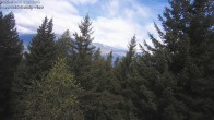 Archiv Foto Webcam Rosswald - Chalet Bergfriede 11:00