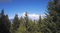 Archived image Webcam Rosswald - Bärgfriedu 11:00