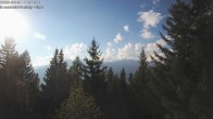 Archived image Webcam Rosswald - Bärgfriedu 17:00