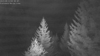 Archived image Webcam Rosswald - Bärgfriedu 01:00