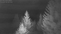 Archiv Foto Webcam Rosswald - Chalet Bergfriede 01:00
