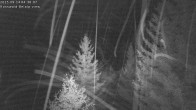 Archiv Foto Webcam Rosswald - Chalet Bergfriede 03:00