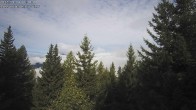 Archived image Webcam Rosswald - Bärgfriedu 09:00