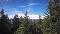 Archived image Webcam Rosswald - Bärgfriedu 13:00