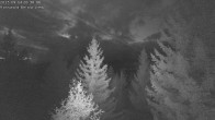 Archiv Foto Webcam Rosswald - Chalet Bergfriede 19:00
